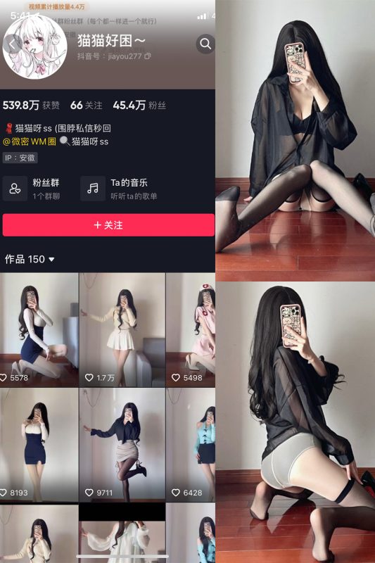 抖音 猫猫好困 微密圈  NO.031期 【22P】最新至：2024.6.2-微密空间-密资库