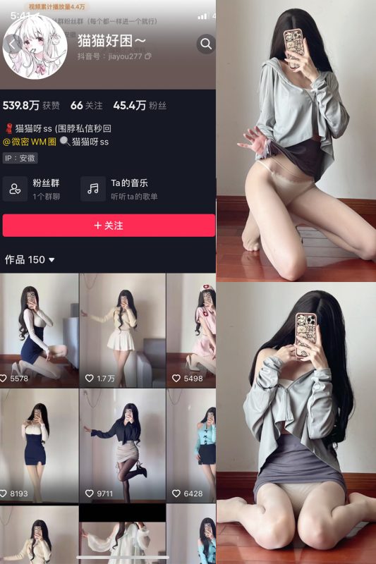 抖音 猫猫好困 微密圈  NO.034期 【23P】最新至：2024.9.17-微密空间-密资库